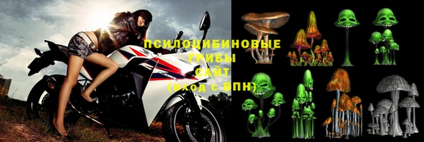 дурь Надым