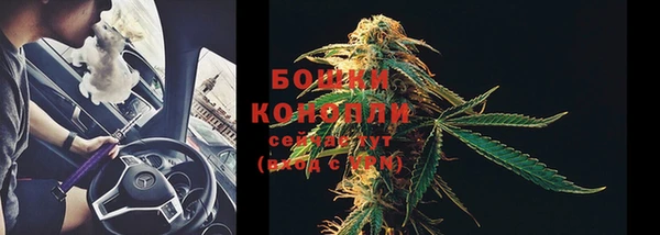 дурь Надым