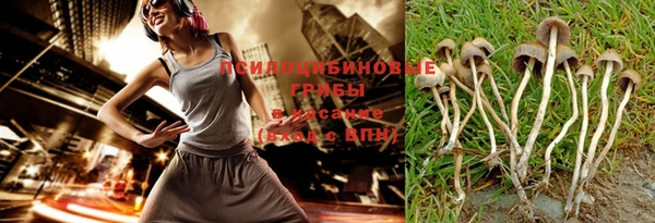 дурь Надым