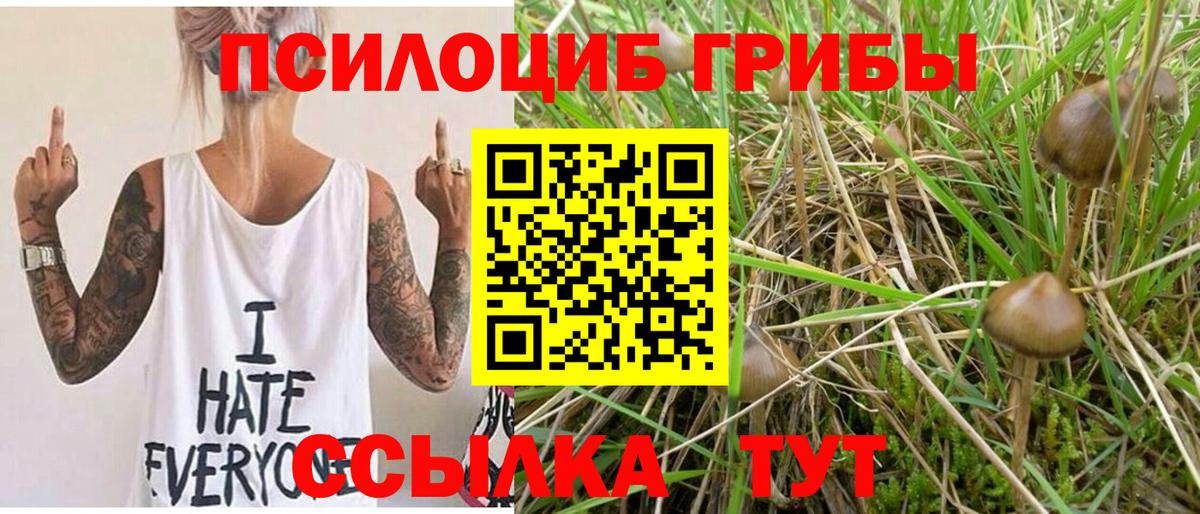 Галлюциногенные грибы ЛСД  Вход с VPN  Элиста 